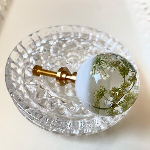 May include: A spherical cabinet knob featuring a clear resin dome with embedded white pressed flowers, attached to a gold-toned metal base and threaded bolt. The knob is positioned on a circular, clear glass decorative dish with a textured pattern.