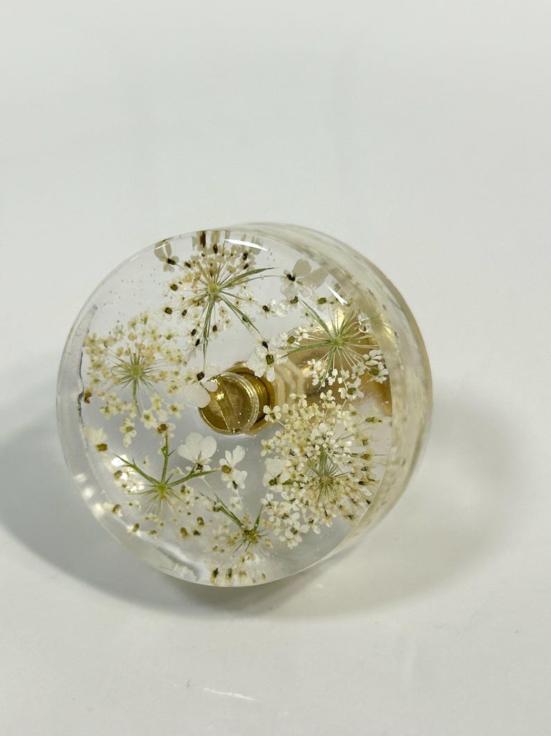 Puede incluir: Un tirador de mueble redondo de resina transparente con flores blancas de encaje de la reina Ana incrustadas. El tirador tiene una base de metal dorado pulido y un tornillo central, mostrando un dise&ntilde;o circular transparente y detallado.