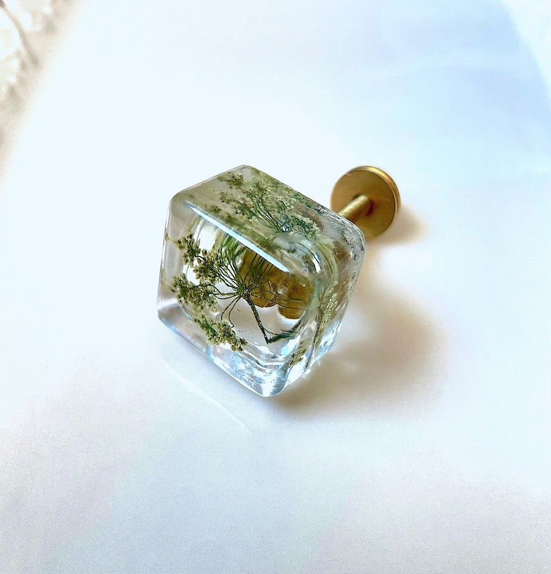 Puede incluir: Un tirador de mueble de forma cuadrada con un cuerpo de resina transparente que encapsula una delicada planta verde seca con hojas finas y plumosas. El tirador est&aacute; unido a una base circular de metal dorado y un tornillo roscado.