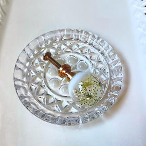 May include: A spherical cabinet knob featuring a white base with an embedded dried Queen Anne's lace flower, attached to a gold-toned metal post and screw, resting inside a small, round, clear glass dish with a faceted, diamond-cut pattern.