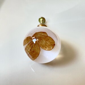 May include: A spherical cabinet knob made of clear resin with a dried brown hydrangea flower petal embedded inside. The knob features a gold-toned metal base and a threaded screw attachment extending from the back for mounting purposes.