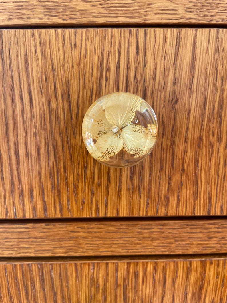 Puede incluir: Un pomo circular para mueble con una c&uacute;pula de resina transparente y pulida que encapsula un delicado p&eacute;talo de flor de hortensia seco de color beige claro, con una estructura de venas visible y un peque&ntilde;o cristal central brillante.
