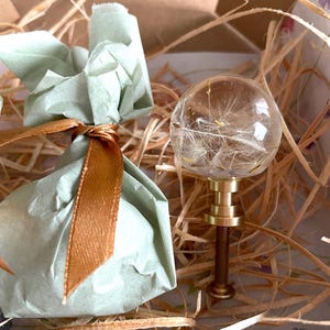 May include: A clear glass sphere knob containing dandelion seeds, attached to a metallic gold-toned base and threaded screw. Beside it sits a small, light green paper-wrapped bundle tied with a thin, shiny brown ribbon.