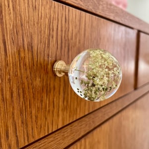 May include: A spherical clear resin drawer knob featuring embedded dried white flowers inside. The knob is attached to a circular brass-toned metal base, which is mounted onto a wooden drawer front with a visible grain pattern and horizontal lines.
