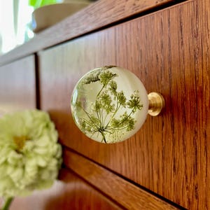 Può includere: Un pomello sferico per mobili con corpo in resina trasparente e un esemplare di pianta essiccata di colore verde all'interno. Il pomello è fissato a una base metallica circolare color ottone, creando un contrasto tra l'elemento botanico e il metallo.