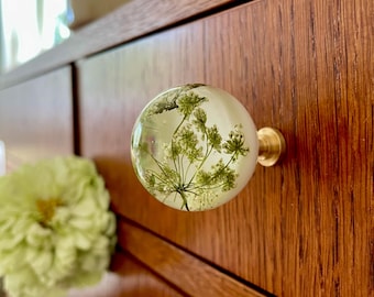 Drawer Pulls with Dried Wild Chervil Flowers in Resin