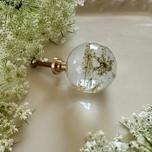 May include: A spherical clear resin cabinet knob featuring an embedded dried white Queen Anne's lace flower. The knob is attached to a metallic gold-toned threaded bolt and base, providing a functional hardware piece for furniture or cabinetry.