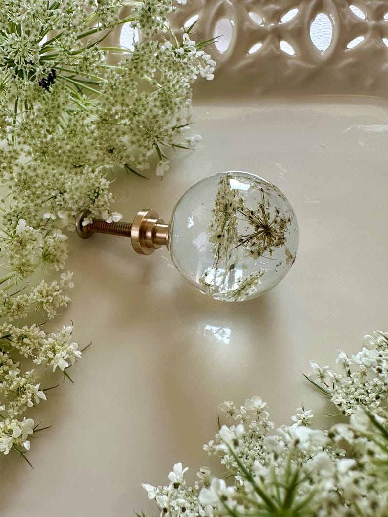 May include: A spherical clear resin cabinet knob featuring an embedded dried white Queen Anne's lace flower. The knob is attached to a metallic gold-toned threaded bolt and base, providing a functional hardware piece for furniture or cabinetry.