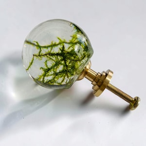 May include: A spherical clear resin cabinet knob containing green moss, attached to a polished gold-tone metal base with a threaded screw. The knob features a smooth, rounded surface that encases the organic green plant material inside.