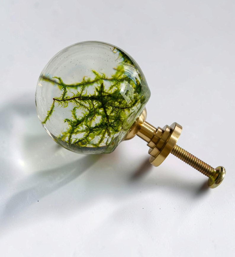 May include: A spherical clear resin cabinet knob containing green moss, attached to a polished gold-tone metal base with a threaded screw. The knob features a smooth, rounded surface that encases the organic green plant material inside.