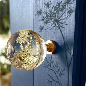 May include: A spherical clear resin cabinet knob containing embedded white dried flowers. The knob features a polished gold-tone metal base and is mounted onto a vertical dark blue wooden panel, casting a distinct shadow of the floral design.