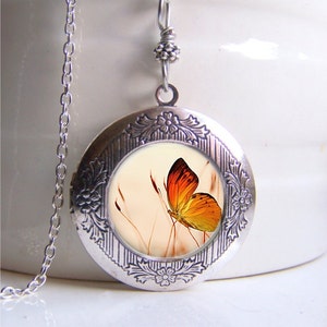 Photo Locket, Butterfly Necklace, Locket Necklace, Butterfly Jewelry, Nature Necklace