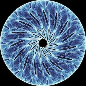 The Chaos Star | Fractal Geometry Art Inspired by Chaos Theory, Complex Dynamics & Mathematical Beauty