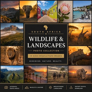 Puede incluir: Una colección de fotos digitales titulada South Africa Wildlife & Landscapes con 14 imágenes de alta resolución. El cuadrado negro central muestra el texto South Africa Wildlife & Landscapes Photo Collection 14 High-Resolution Images.
