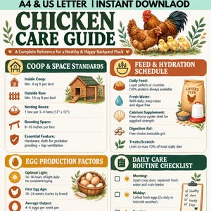 Backyard Chicken Care Guide Printable PDF Flock Health Chart Poultry Coop Setup Daily Checklist Homesteading Guide A4 US Letter