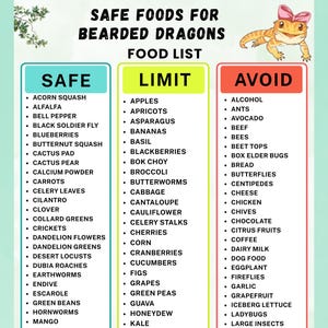 May include: A digital informational chart titled Safe Foods for Bearded Dragons Food List, featuring a cartoon lizard with a pink bow. The document is organised into three vertical columns labelled Safe, Limit, and Avoid, each containing bulleted lists.