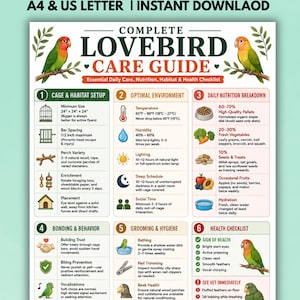 May include: A complete lovebird care guide infographic featuring illustrations of lovebirds and six numbered sections covering cage setup, environment, nutrition, bonding, grooming, and health, with text detailing daily care and habitat requirements.