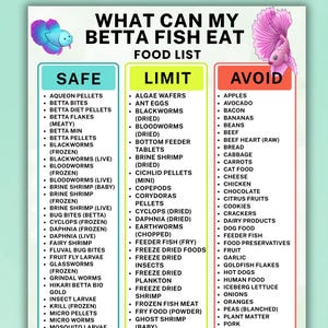 May include: A digital informational chart titled WHAT CAN MY BETTA FISH EAT FOOD LIST, featuring three columns labeled SAFE, LIMIT, and AVOID. The chart includes illustrations of a blue and a pink betta fish, listing various food items for each category.