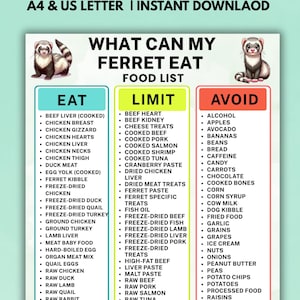 May include: A digital informational chart titled WHAT CAN MY FERRET EAT FOOD LIST, featuring illustrations of two ferrets. The chart is divided into three colour-coded columns labelled EAT, LIMIT, and AVOID, listing various food items for ferrets.