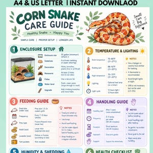 Può includere: Un'infografica digitale che funge da guida alla cura del serpente del grano, con un'illustrazione di un serpente arancione e bianco. Il documento include sezioni su allestimento, temperatura, illuminazione, alimentazione, gestione e salute.
