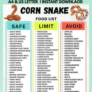 Może przedstawiać: Tabela informacyjna zatytułowana CORN SNAKE FOOD LIST z ilustracjami dwóch węży. Tabela jest podzielona na trzy kolumny oznaczone jako SAFE, LIMIT i AVOID, z których każda zawiera listę różnych produktów spożywczych dla węży zbożowych.