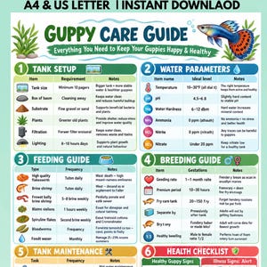 Puede incluir: Una infografía digital de guía de cuidado para guppys que incluye secciones sobre configuración del tanque, parámetros del agua, alimentación, cría, mantenimiento y una lista de verificación de salud con ilustraciones de peces.