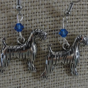 Bouvier earrings 2025