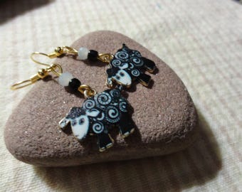 Black and White Sheep with Curly Coat