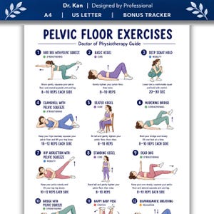 May include: A white instructional poster titled Pelvic Floor Exercises by Dr. Kan, featuring twelve numbered illustrations of a person performing various movements. Each exercise includes a title, category, and repetition instructions in English.