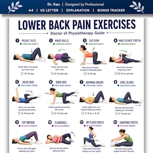 May include: An instructional poster titled Lower Back Pain Exercises by Dr. Kan. It features twelve numbered illustrations of a person performing physical therapy movements, including pelvic tilts, knee rolls, cat-cow, and stretches with text.