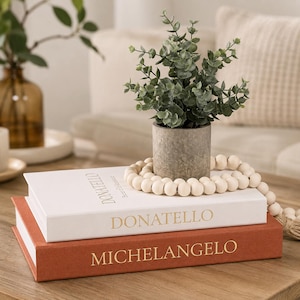 May include: A stack of two hardcover books with the names Donatello and Michelangelo printed in gold on the spines. A small potted green plant in a grey textured container sits on top, surrounded by a strand of light-colored wooden beads.