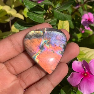 Labradorit-Cabochon 50 x 47 mm, orange-rosa-blauer Blitz, Schild-Edelstein, großer, freigeformter, loser Stein für Anhänger und Drahtschmuck