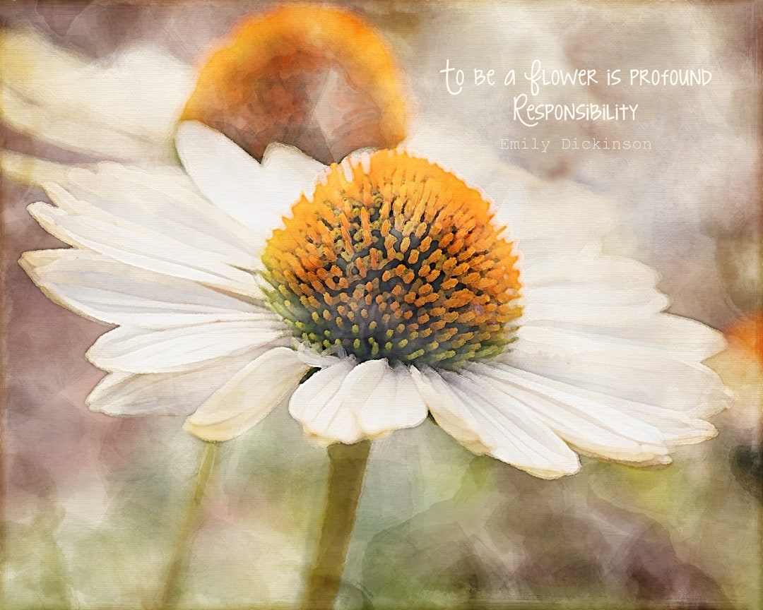 Echinacea Yellow Coneflower Watercolor Art Print With Dickinson Quote Etsy