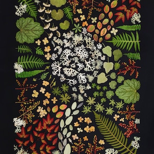May include: A botanical art print featuring a variety of pressed leaves, flowers, and lichen arranged in a circular pattern on a black background. The artwork is signed "Angie Windheim".