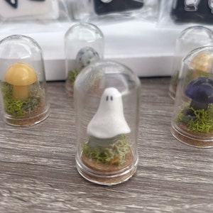Tiny ghosties and mushroom terrariums, ghost terrarium, mushroom decor, cottagecore decor room, tiny mushroom terrarium, pet ghost