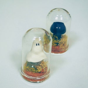 Tiny ghosties and mushroom terrariums, ghost terrarium, mushroom decor, cottagecore decor room, tiny mushroom terrarium, pet ghost