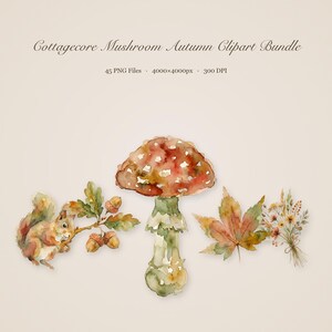 Puede incluir: Un paquete de imágenes prediseñadas digitales titulado Cottagecore Mushroom Autumn Clipart Bundle que contiene 45 archivos PNG de 4000x4000px y 300 DPI. Los gráficos presentan una ilustración en acuarela de una ardilla con bellotas, un hongo grande, una hoja de arce y un ramo.