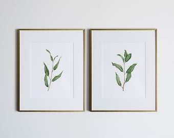 Willow Branches Set of TWO Watercolor Botanical Illustrations • Unique Greenery Watercolor Paintings • Whimsical Botanical Plant Prints