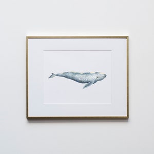 Gray Whale Watercolor Illustration Unique Whale Art Print Whimsical Ocean Life Watercolor Poster Nautical Home Decor Or Nursery Art image 1