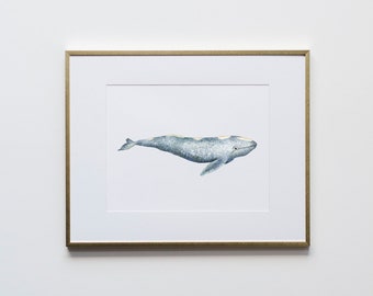 Gray Whale Watercolor Illustration • Unique Whale Art Print • Whimsical Ocean Life Watercolor Poster • Nautical Home Decor Or Nursery Art