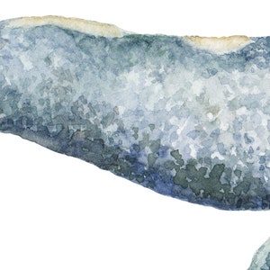 Gray Whale Watercolor Illustration Unique Whale Art Print Whimsical Ocean Life Watercolor Poster Nautical Home Decor Or Nursery Art image 3