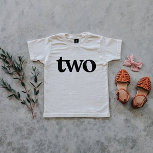 Two Second Birthday Kids Shirt Organic Cotton Graphic Tee for Birthdays Modern Gender Neutral Organic Toddler Cream Tee For 2 Year Olds image 3