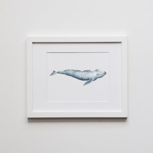 Gray Whale Watercolor Illustration Unique Whale Art Print Whimsical Ocean Life Watercolor Poster Nautical Home Decor Or Nursery Art image 2