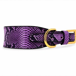 Genuine Python Snakeskin Leather Dog Collar, Handmade Luxury Pet Accessory, Gold Hardware