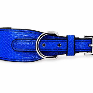 Collar para perro de auténtica piel de pitón, accesorio de lujo hecho a mano para mascotas, herrajes dorados.