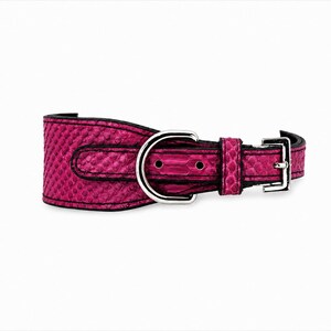 Genuine Python Snakeskin Leather Dog Collar, Handmade Luxury Pet Accessory, Gold Hardware