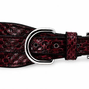 Genuine Python Snakeskin Leather Dog Collar, Handmade Luxury Pet Accessory, Gold Hardware