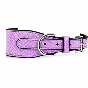 Genuine Python Snakeskin Leather Dog Collar, Handmade Luxury Pet Accessory, Gold Hardware