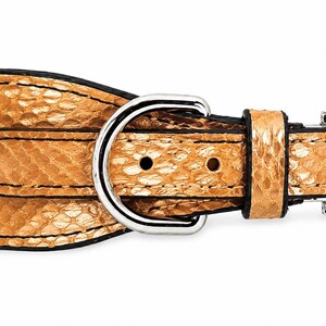 Genuine Python Snakeskin Leather Dog Collar, Handmade Luxury Pet Accessory, Gold Hardware