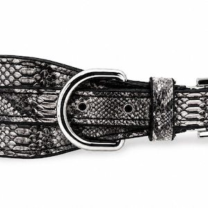 Genuine Python Snakeskin Leather Dog Collar, Handmade Luxury Pet Accessory, Gold Hardware